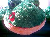 frog